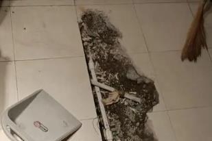 淄博市卫生间漏水检测电话